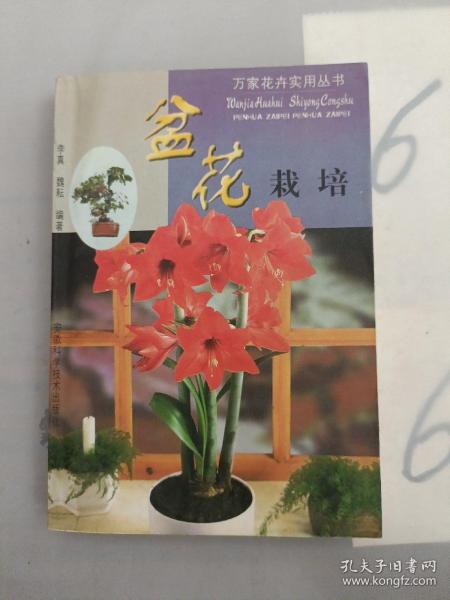 盆花栽培——万家花卉实用丛书