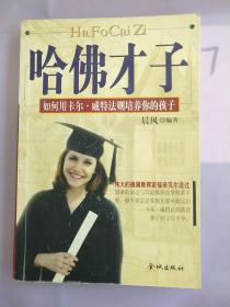 哈佛才子(书内有写划)