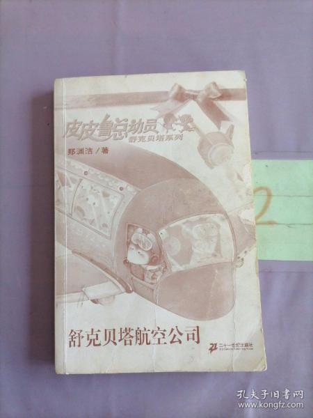 舒克贝塔航空公司