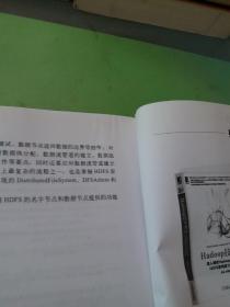 Hadoop技术内幕：深入解析Hadoop Common和HDFS架构设计与实现原理