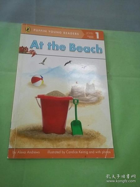 At the Beach (Puffin Young Reader  Level 1)[在海滩]