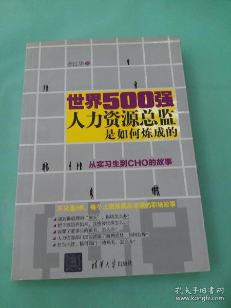 世界500强人力资源总监是如何炼成的：从实习生到CHO的故事