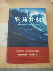 潮头跨越——中国石油和化学工业强国梦时代报告