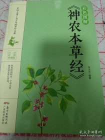 彩色图解《神农本草经》