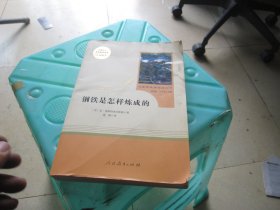 统编语文教材配套阅读 八年级下：钢铁是怎样炼成的/名著阅读课程化丛书