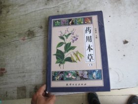 药用本草（下卷）