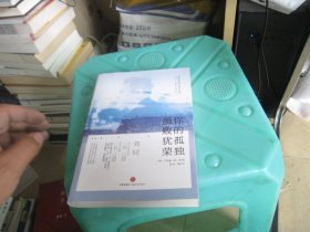 谁的青春不迷 茫系列2 你的孤独，虽败犹荣