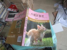 中外动物小说精品：小猫欧罗巴