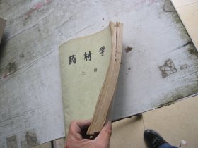 药材学 上下册