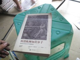 何谓欧洲知识分子：欧洲历史中的知识分子和精神政治