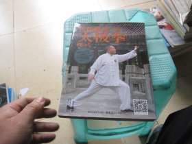 传统杨氏太极拳115式