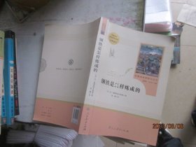 统编语文教材配套阅读 八年级下：钢铁是怎样炼成的/名著阅读课程化丛书