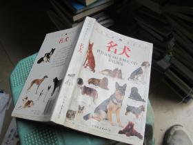 名犬：全世界300多种名犬的彩色图鉴