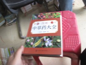 图解中草药大全