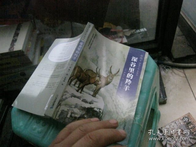 深谷里的羚羊