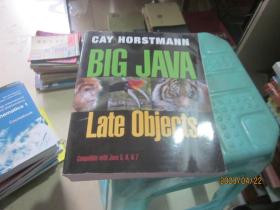 Big Java Late Objects