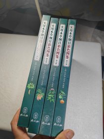 实用本草纲目彩色图鉴（全4卷）