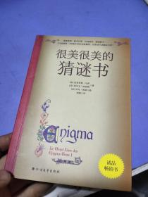 很美很美的猜谜书(升级版)：巴黎彩绘解谜手册！激发孩子数学兴趣入门书！172道谜题+200幅中世纪风格插画，精雕细琢的图腾，全书