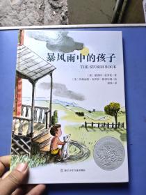 暴风雨中的孩子：美国凯迪克银奖作品