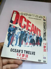 12罗汉DVD