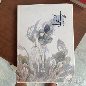 卜鸟：阿梗水彩画集