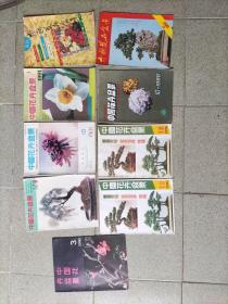 《中国花卉盆景》9本