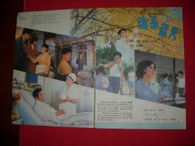 上影画报---1982年第4期