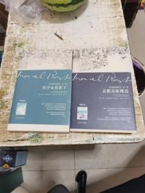 追寻逝去的时光，第一卷，去斯万家那边丶第二卷，在少女花影下(共2册)，书架3