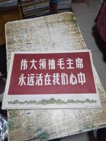 伟大领袖毛主席 永远活在我们心中(新闻展览照片农村普及版)（8开64张一套，1976北京初版发行）书架1