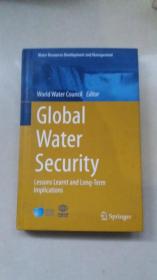 GIOBAIWATERSECURITY（看图下单）