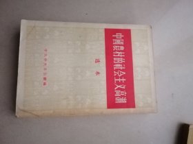 中国农村的社会主义高潮（选本）