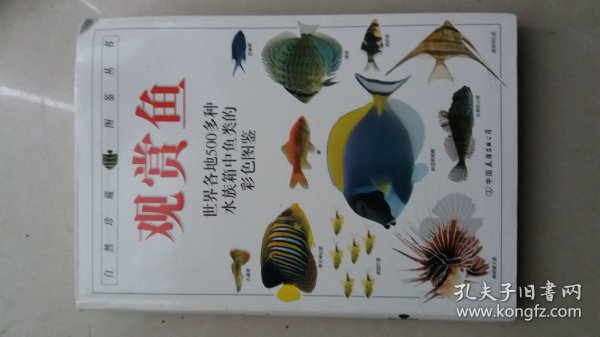 观赏鱼 世界各地500多种水族箱中鱼类的彩色图鉴