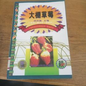 大棚草莓