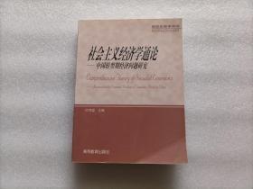 社会主义经济学通论:中国转型期经济问题研究