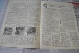 小报《飞鸣笛》196年月日第期。