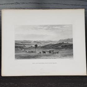 十九世纪西洋欧洲古董英国伦敦钢版画THE COW PASTURES 约27x21cm