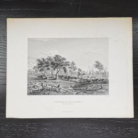 十九世纪西洋欧洲古董英国伦敦钢版画STAMPEDE OF PACK HORSES 约27x21cm