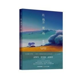 比远方更远9787537869355