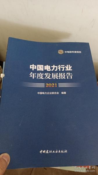 中国电力行业年度发展报告2021