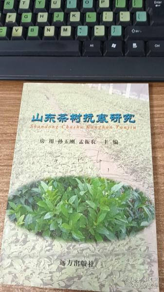 山东茶树抗寒研究