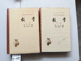 教育学文集 第10卷 教学 上下2册合售）