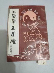 李氏太极拳 五星锤