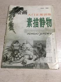 绘画入门正规训练 素描静物