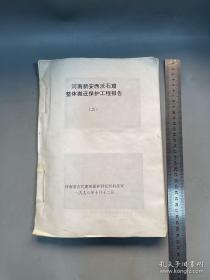 河南新安西沃石窟整体搬迁保护工程报告