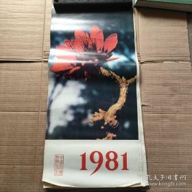 1981年挂历 12张