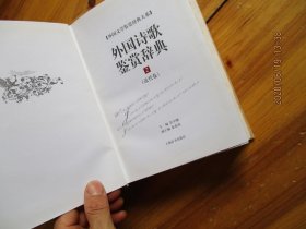 外国文学鉴赏辞典大系：外国诗歌鉴赏辞典2（近代卷）精装如图72-5