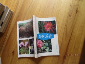 昆明花卉【如图27号