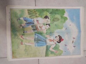 教学挂图，不要捕蜻蜓