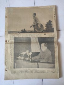 参考消息1977【剪报图，见图12张】