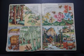 上世纪50年代彩色宣传画、小画片16张32幅自然科学、动植物题材—粘贴于1958年21期时事手册